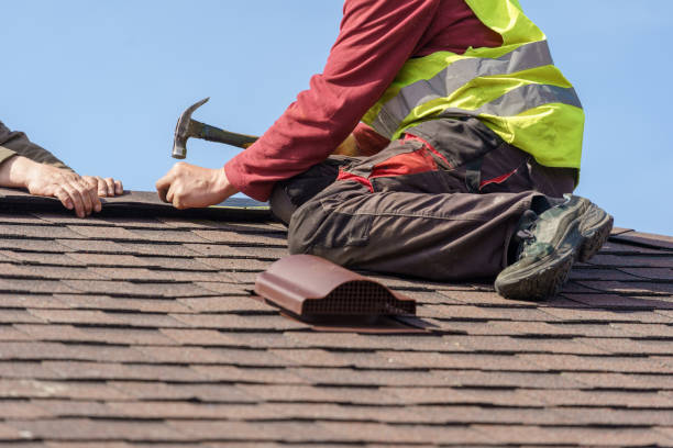 Best Gutter Installation and Roofing  in Laguna Park, TX
