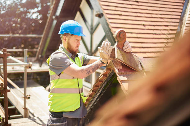 Best Flat Roof Repair Services  in Laguna Park, TX